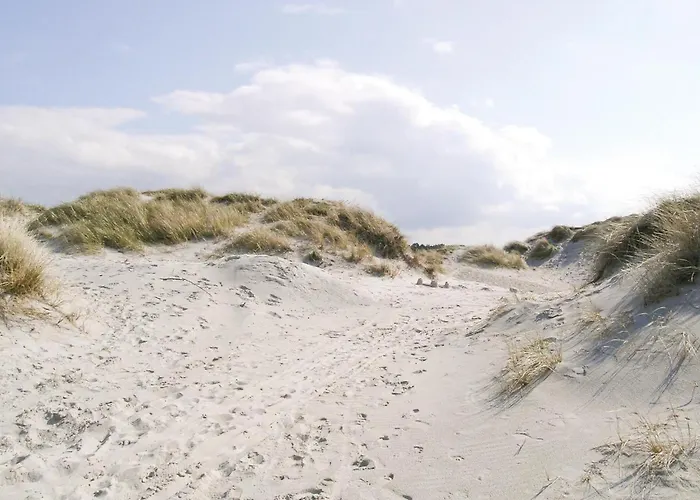 Sandleddet Ii * Højby